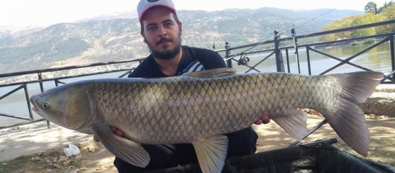 Eρασιτέχνες ψαράδες «έπιασαν» grass carp βάρους 10 κιλών (φωτό, βίντεο)